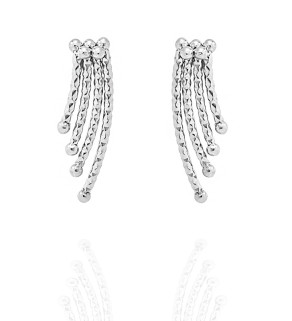 Stainless steel Earrings Precious One
