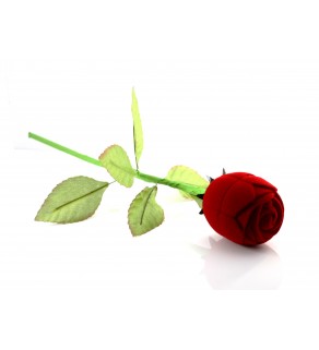 Sametová krabička růže