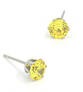 Stainless Steel Earrings 6mm